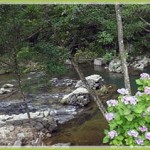 『岡崎の奥座敷』